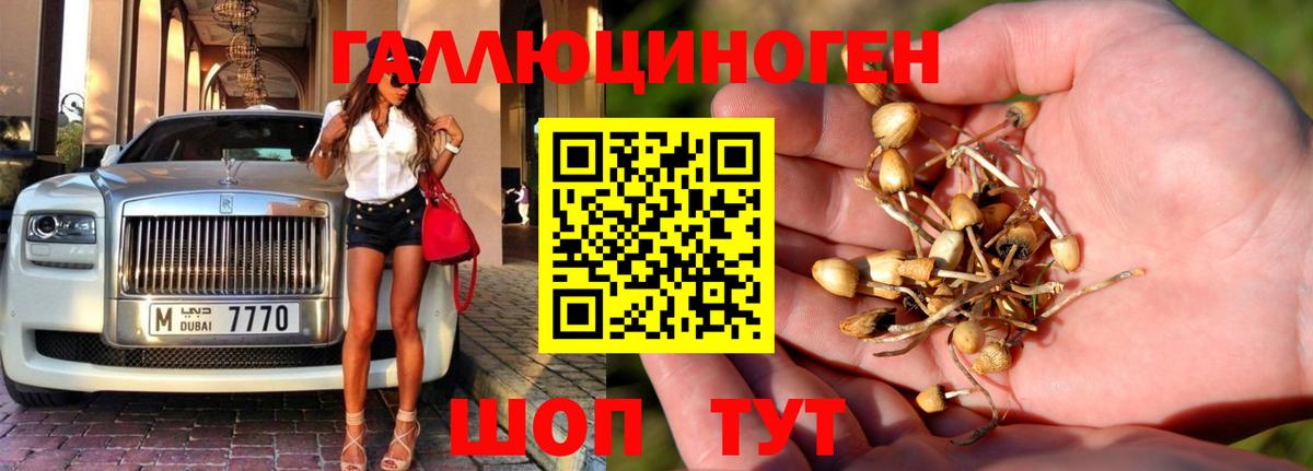 Галлюциногенные грибы мухоморы  купить наркоту  Вход с VPN  Миллерово  Галлюциногенные грибы прущие грибы 